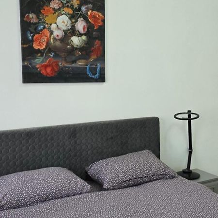 Ferienwohnung Casa Grande Făgăraş Exterior foto